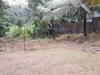 12.5 Perch Land for Sale in Walipillawa