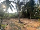 12.5 Perch Prime Residential Land Near Lyceum - Kalagedihena