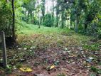 12.5 Perches Residential Land For Sale in Gampaha