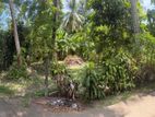 12.5P Land for sale at Gorakana