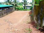 12.5P Land For Sale In Pannipitiya Araliya Uyana - Near Sirasa TV