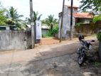12.5P Land For Sale In Pannipitiya Araliya Uyana - Near Sirasa TV