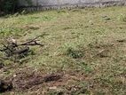 12.5perch land for sale in kandawala,Negombo