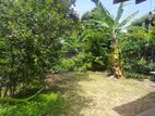 12.5perch land with house for sale in liyanagemulla, seeduwa