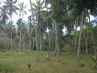 126 Acres Land for Sale in Kurunegala - Cl608