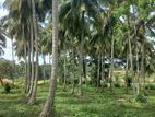 126 acres Land for Sale in Kurunegala - CL608