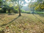 12.6 Perches Land for Sale in Kadawatha