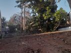 12.65P Land for Sale in Asoka Mw, Sirimal Uyana, Rathmalana (SL 14067)