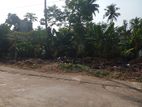 12.65P Land for sale in Gangarama road, Boralesgamuwa (SL 13166)