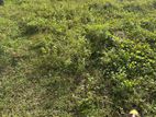 12.75 Perch Land for Sale in Pagoda Rd, Nugegoda PCCC-A3