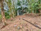 12.8 P Land Facing Paddy Field for Sale in Thalawatugoda Kalalgoda