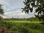 12.8 P Land Facing Paddy Field for Sale in Thalawatugoda Kalalgoda