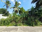 12.8 P Residential Bare Land for Sale