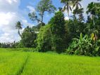 12.8 Perch Paddy Field View Land on Temple Road, Maharagama (SL 14341)