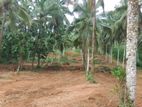 128 Road Facing Land For Sale In Thalagala
