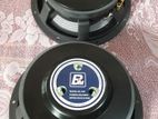 12inch Bm speakers 2