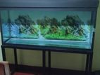 12mm Fish Tank 4.6 Feet with Stand