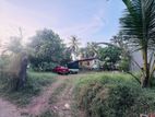 Land for Sale in Homagama
