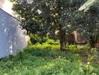 12P Bare Land for Sale in Isurupura Road, Malabe (SL 14031)