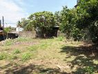 12P Bare Land For Sale In Pannipitiya