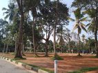 12p Bear Land for Sale in Polgasowita D/L0018