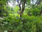12P - Flat Land For Sale in Amunugama Kandy