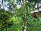 12P High Residential Land for Sale in Nugegoda