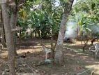 12p Land for Sale at Rajamaha Vihara Road, Kotte