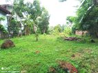 12P Land for Sale in Bandaragama