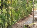 12P Land For Sale in Kandy city Limits (TPS2294)