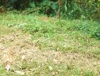 12p Land For Sale in Watapuluwa - Kandy