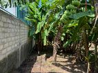 12+perch land for sale in Nikape, Dehiwala