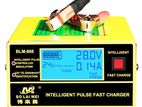 24V Bolaimei Interligent Pulse Battery Charger BLM-866 3- 200Ah