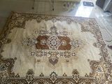 12×9.5 ft Thick Soft Carpet