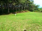 13 Perch Land for Sale - Aguruwathota