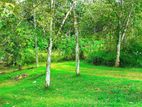 13 Perch Land for Sale in Horana - Handapangoda