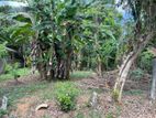 13 Perches Bare Land for Sale at Weliveriya