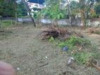 13 Perches Land for Sale in Dehiwala Nedimala Off Vijita Road