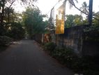 13 perches land for sale in dehiwala off hill street