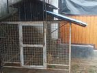 131cm X 167 Cm Big Dog Cage Made Using Iron .