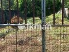 13.2 Perch Residential Land for Sale in Dehiwala – Nedimala CGGG-A2