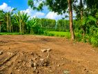 13.45 Perches land For Sale in Panadura (SSPL-508)