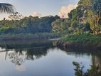 13.4P Premium Land in Pitakotte with Serene Waterfront & Forest Views