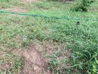 13.5 PERCH LAND for SALE in Ratupaswala