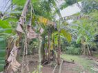 13.5 Perch Residential Land for Sale - Pipe Road, Koswatte, Battaramulla