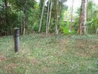 13.5P Land for Sale in Mawalgama.