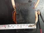 13.5 v 60 Amps Transformer