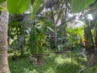 13.6 Perch Land For Sale Katubadda