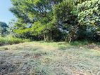 13.7 P Land for sale in 1st lane Gamunu pura Malabe