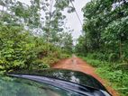 13.8 Acre land with Rubber Trees for Sale in Good Hope Estate
